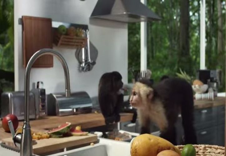 IKEA monkey video July 2015