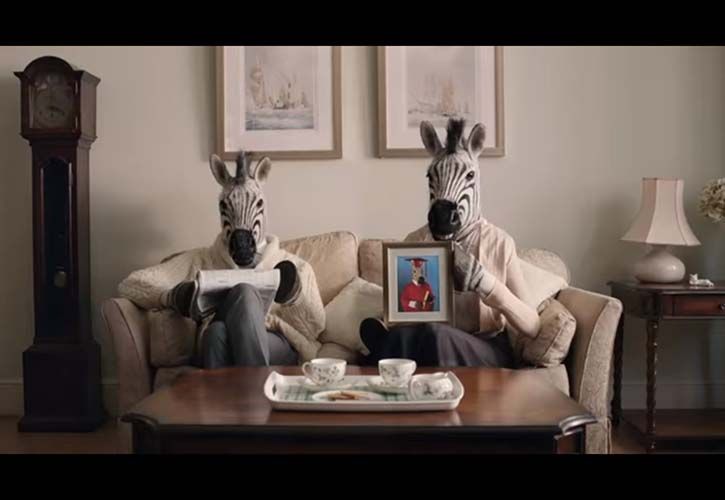 B&Q zebra advert 725 x 500