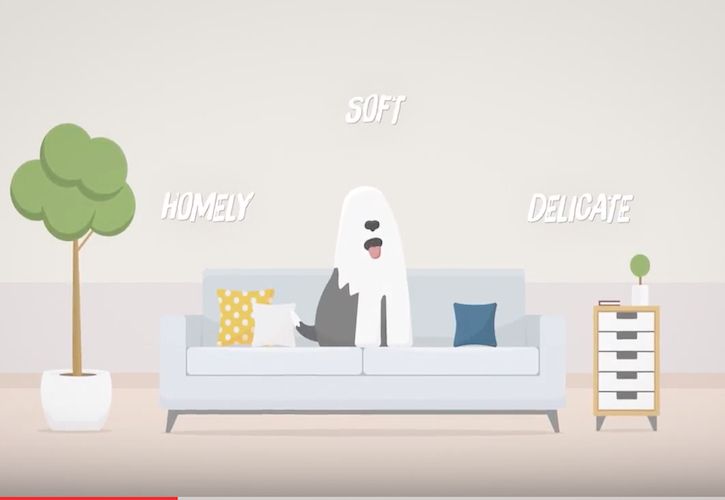 Guide to whites video