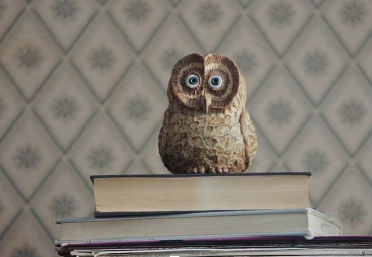 B&Q owl 725 x 500
