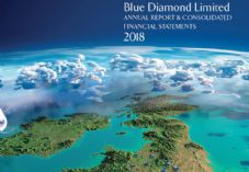 Blue Diamond Garden Centre annual report 2018 725 x 500.jpg
