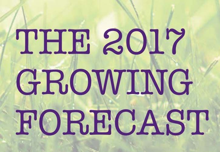 Wyevale Garden Centres 2017 Growing Forecast 725 x 500