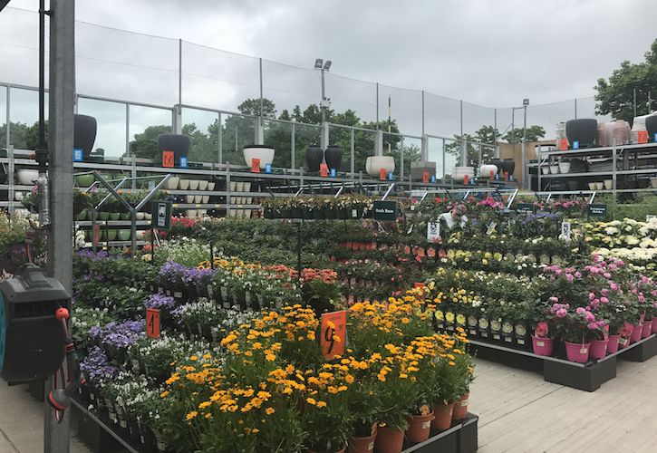 Bunnings MK Garden & Seasonal