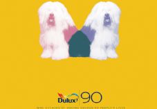DULUX IS 90 - BOOK COVER - YELLOW 725