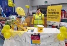 Wickes YoungMinds 2 725