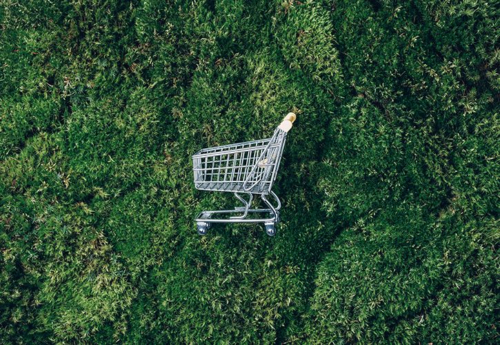 Environmental shopping sustainable j.chizhe shutterstock_1855145848