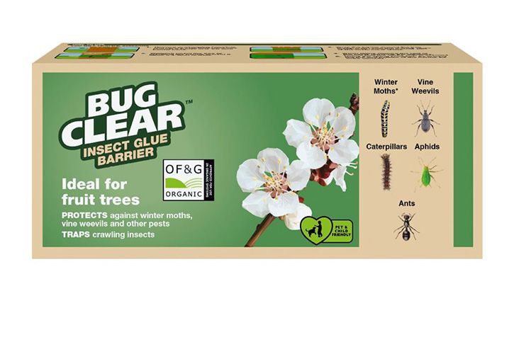 725 BugClear Insect Glue Barrier 5m 121005