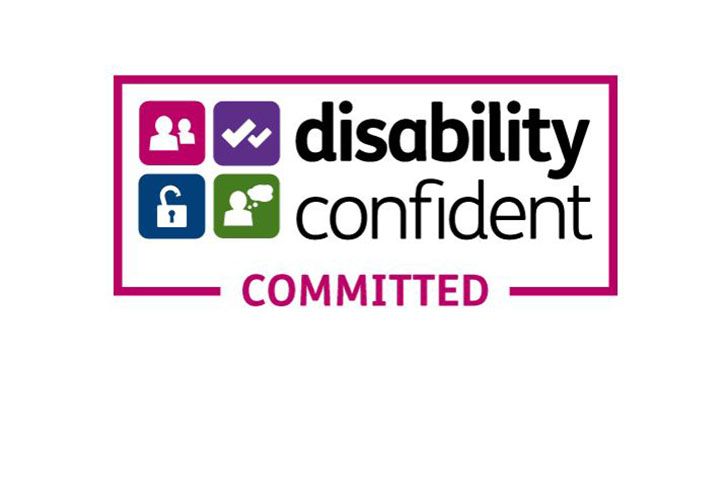 Disability confident 725