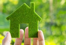 Green Home environment