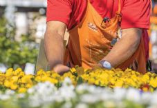 THD spring hiring 725