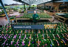 Dobbies_2 (C) Andrew Cawley