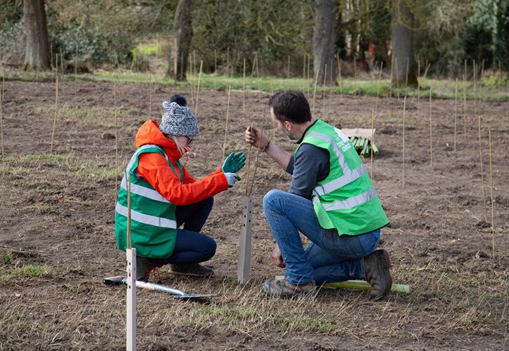 Dobbies The Tree Council