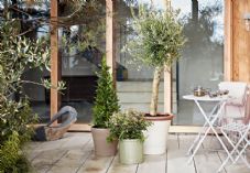 Sproutl press release new partners