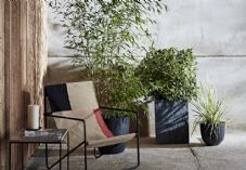 SPROUTL COLLECTIONS INSTANT IMPACT 725