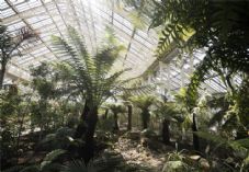 Sproutl-Kew-Gardens