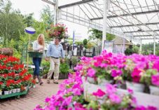 Couple in garden centre shutterstock_117231496 725 x 500