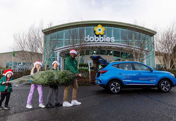 Dobbies Garden Centres ((C) Jeff Holmes)_1 Christmas tree
