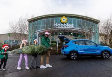 Dobbies Garden Centres ((C) Jeff Holmes)_1 Christmas tree