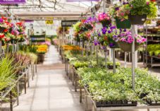 Garden centre display 725 x 500