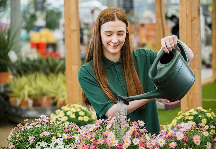 Dobbies Increases Support For Staff Mental Health