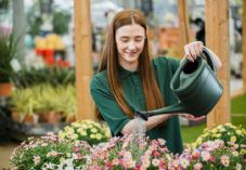 Dobbies staff watering can