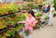 Female shoppers at garden centre shutterstock_105761693 725 x 500