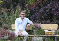 Dobbies Eyles Marcus Autumnal Plants