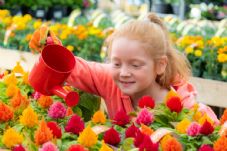 Little Seedlings Club Ambassador, Emelia, 7 from Glasgow  Dobbies Garden Centres