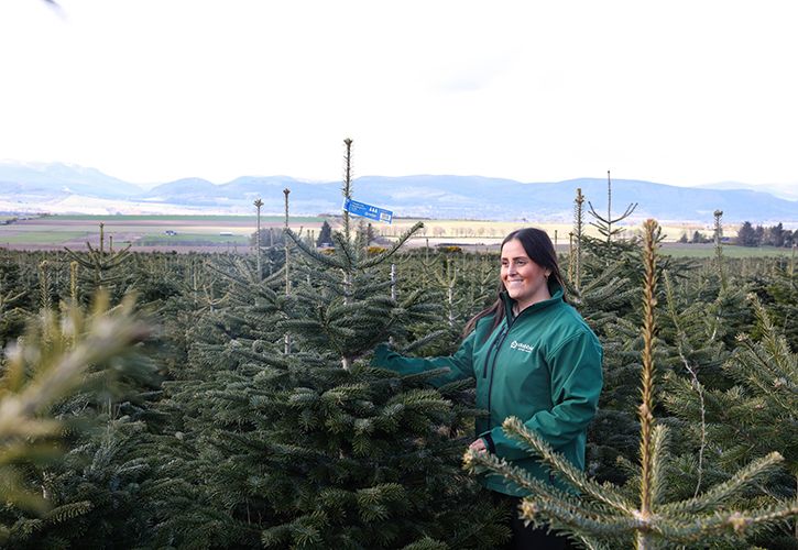 NYAC_Team member with sustainably grown Christmas tree (©Abbie McCann)