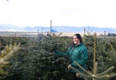 NYAC_Team member with sustainably grown Christmas tree (Abbie McCann)