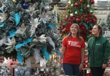 Dobbies Christmas TCT Copyright Stewart Attwood