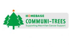 Homebase Christmas trees Communitrees