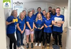 Wickes and Crown Paints