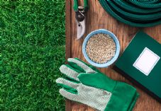 Garden gloves seeds hosepipe shutterstock_276802847 725 x 500