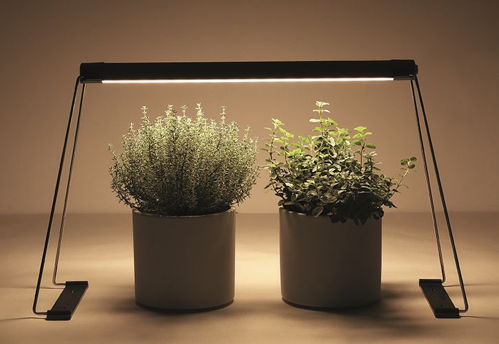Dobbies indoor grow light