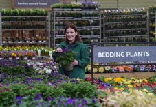 Dobbies - First day of spring (c) Stewart Attwood