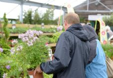 GCA only - garden centre customers