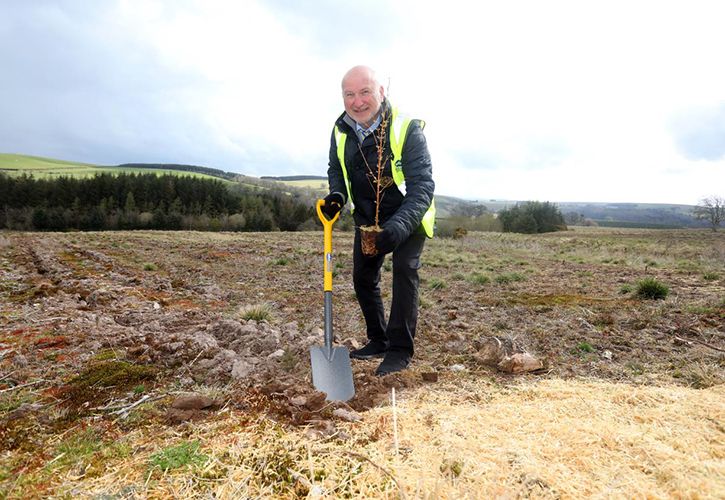 Howard Luft tree planting Selco forest