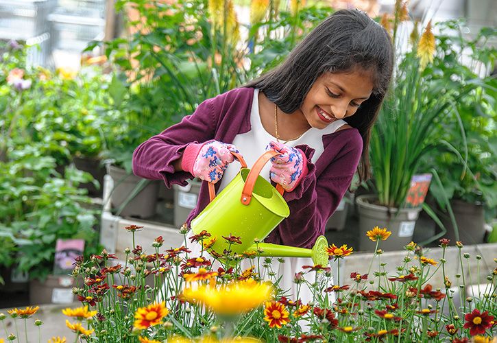 Dobbies Little Seedlings Club Ambassador Iniya Evelyn Raj at the Kings Lynn store (© UNP)