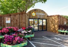Dobbies Cadnam opening
