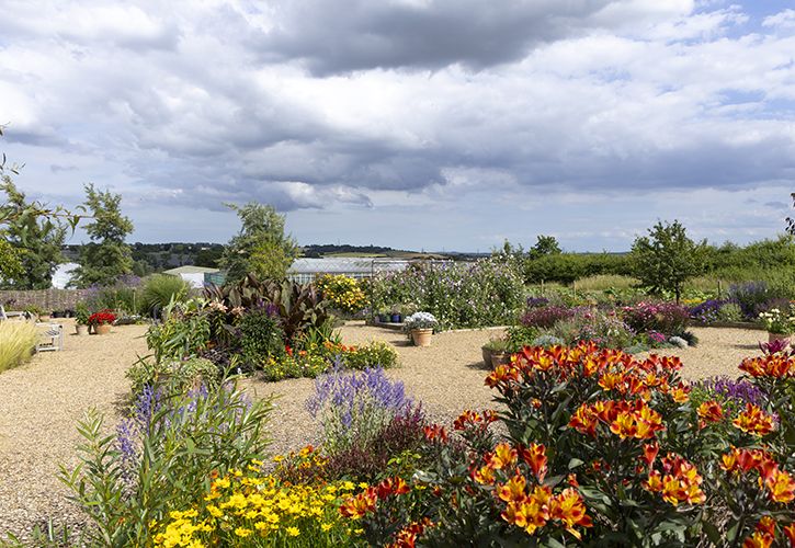 RHS Hyde Hall