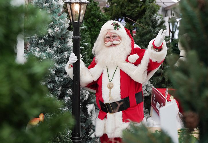 Dobbies Christmas 2025 (c) Stewart Attwood