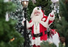 Dobbies Christmas 2025 (c) Stewart Attwood