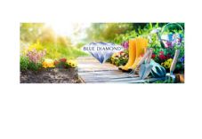 Blue Diamond LinkedIn
