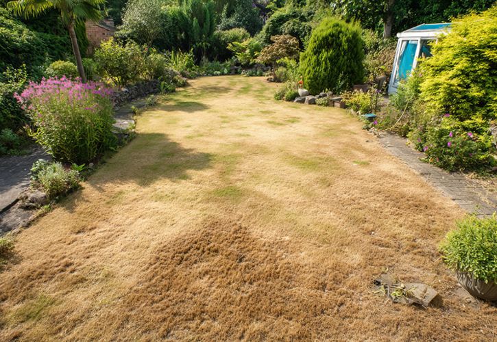 Travis Perkins -  ProtectGardenWeather