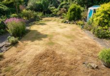 Travis Perkins -  ProtectGardenWeather
