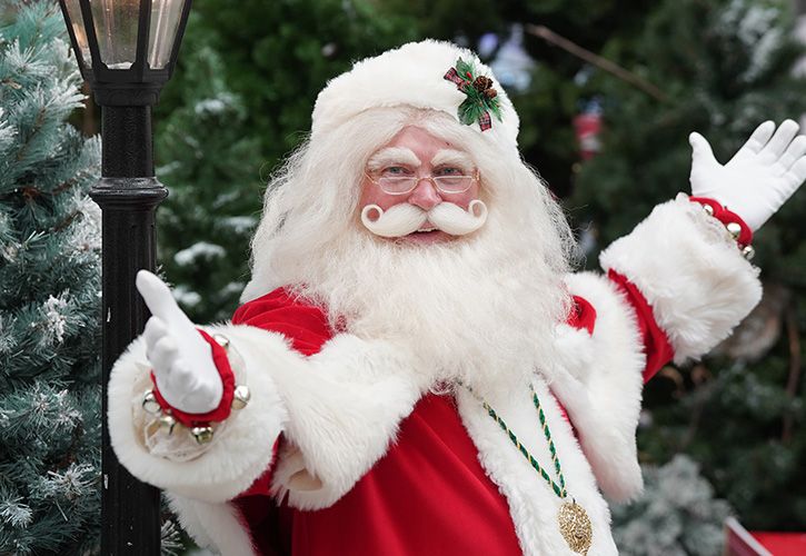 Dobbies Christmas 2025 (C) Stewart Attwood