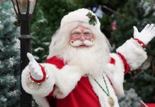 Dobbies Christmas 2025 (C) Stewart Attwood