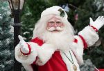 Dobbies Christmas 2025 (C) Stewart Attwood