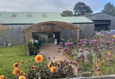 Blue Diamond Garden Centres - Holt Garden Centre